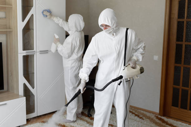 24/7 Emergency Odor Removal experts in Newfoundland, NJ